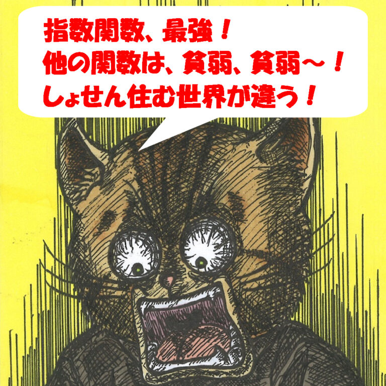 「指数関数、最強！しょせん住む世界が違う！」と叫ぶ猫のねこいちろ