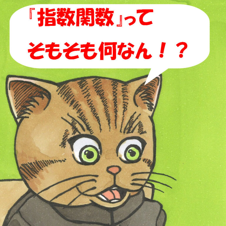 「指数関数ってそもそも何なん！？」と驚く猫のねこいちろ