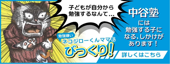 勉強する子になる「しかけ」についてはこちら