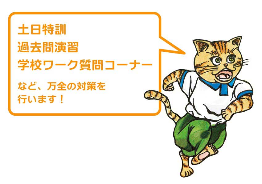 定期テスト対策