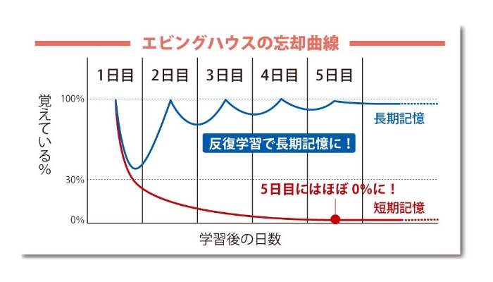 エビングハウスの忘却曲線